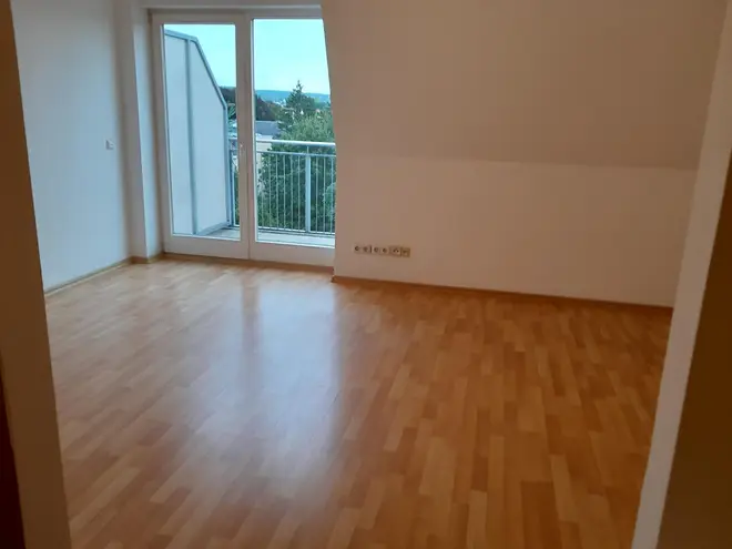 1 Zimmer Wohnung mit 31 m² in Dresden – Bild 1