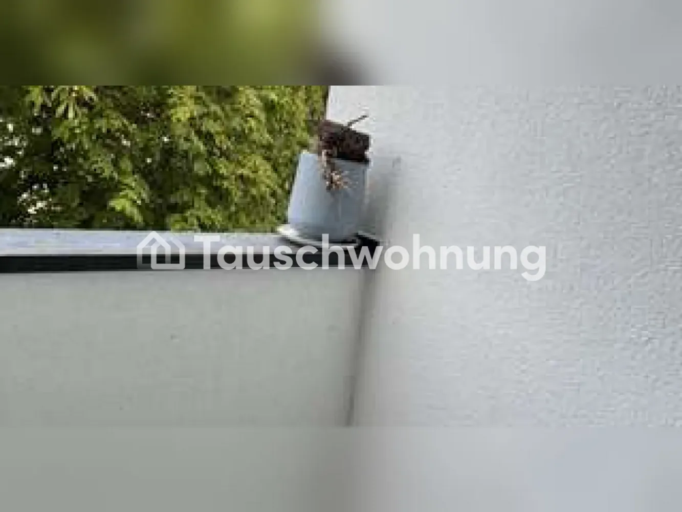 2 room apartment with 45 m² in Berlin – Photo 3