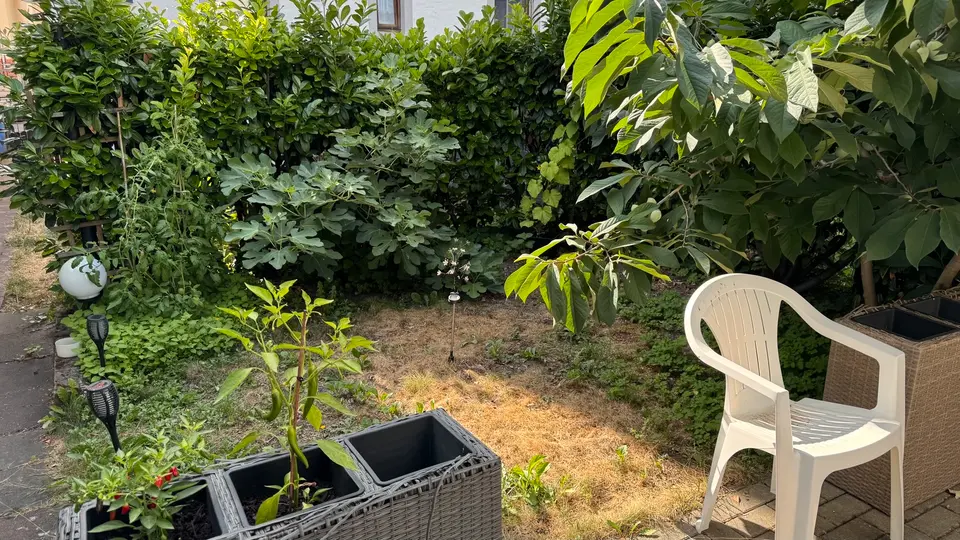 2 Zimmer Haus mit 35 m² in Aschaffenburg – Bild 4