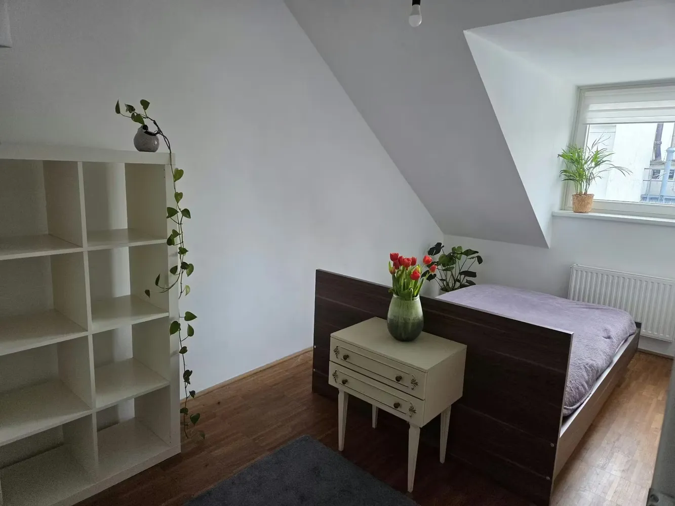 1 Zimmer Wohnung mit 13 m² in Rostock – Bild 3