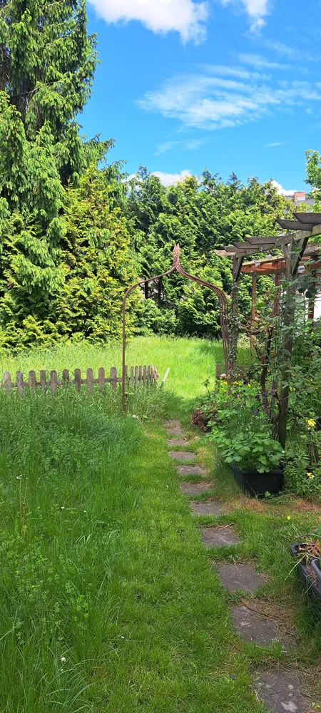 2 Zimmer Wohnung mit 50 m² in Bernau bei Berlin – Bild 3
