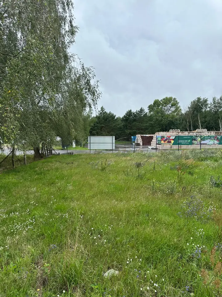 8 Zimmer Haus mit 130 m² in Potsdam – Bild 9