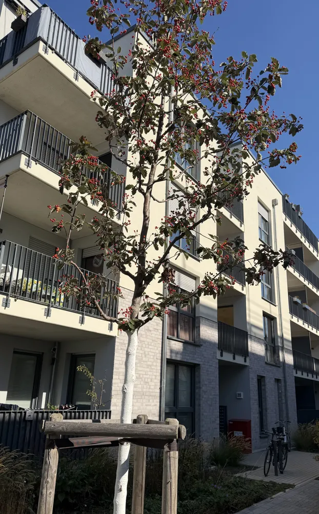 2 room apartment with 58 m² in Düsseldorf – Photo 1