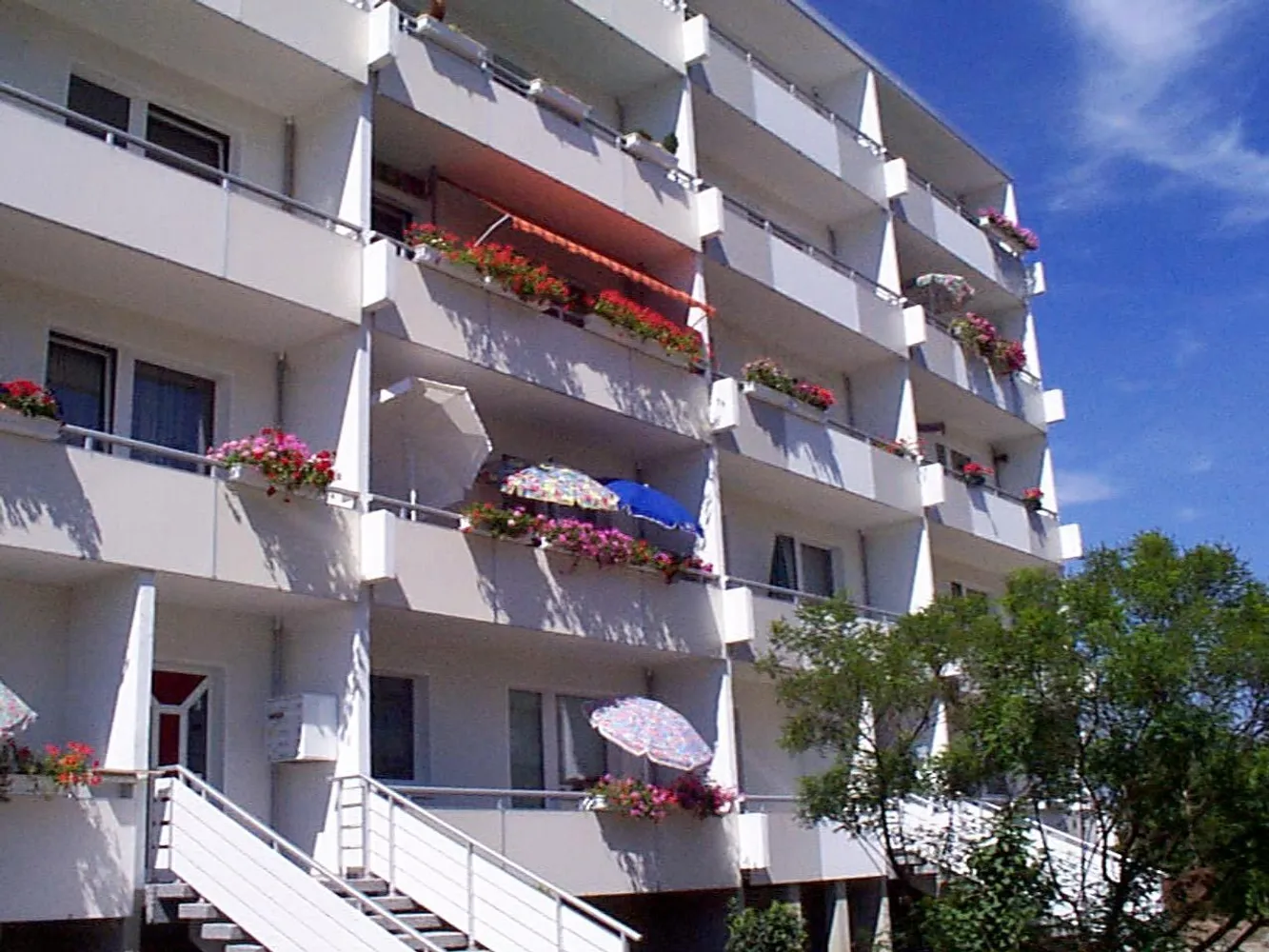 2 Zimmer Wohnung mit 55 m² in Magdeburg – Bild 1