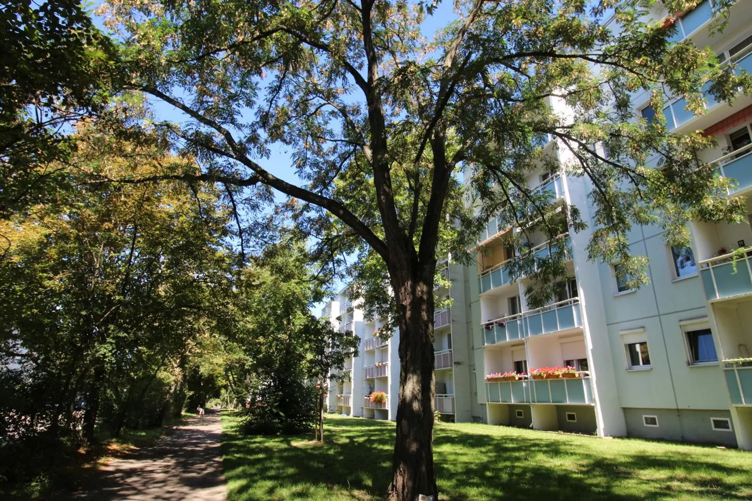 3 Zimmer Wohnung mit 57 m² in Magdeburg – Bild 4