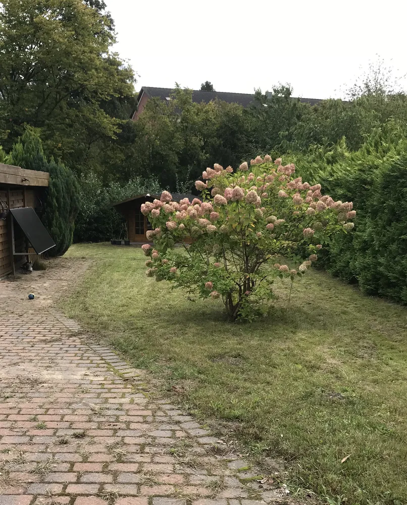 4 Zimmer Haus mit 134 m² in Hamburg – Bild 5