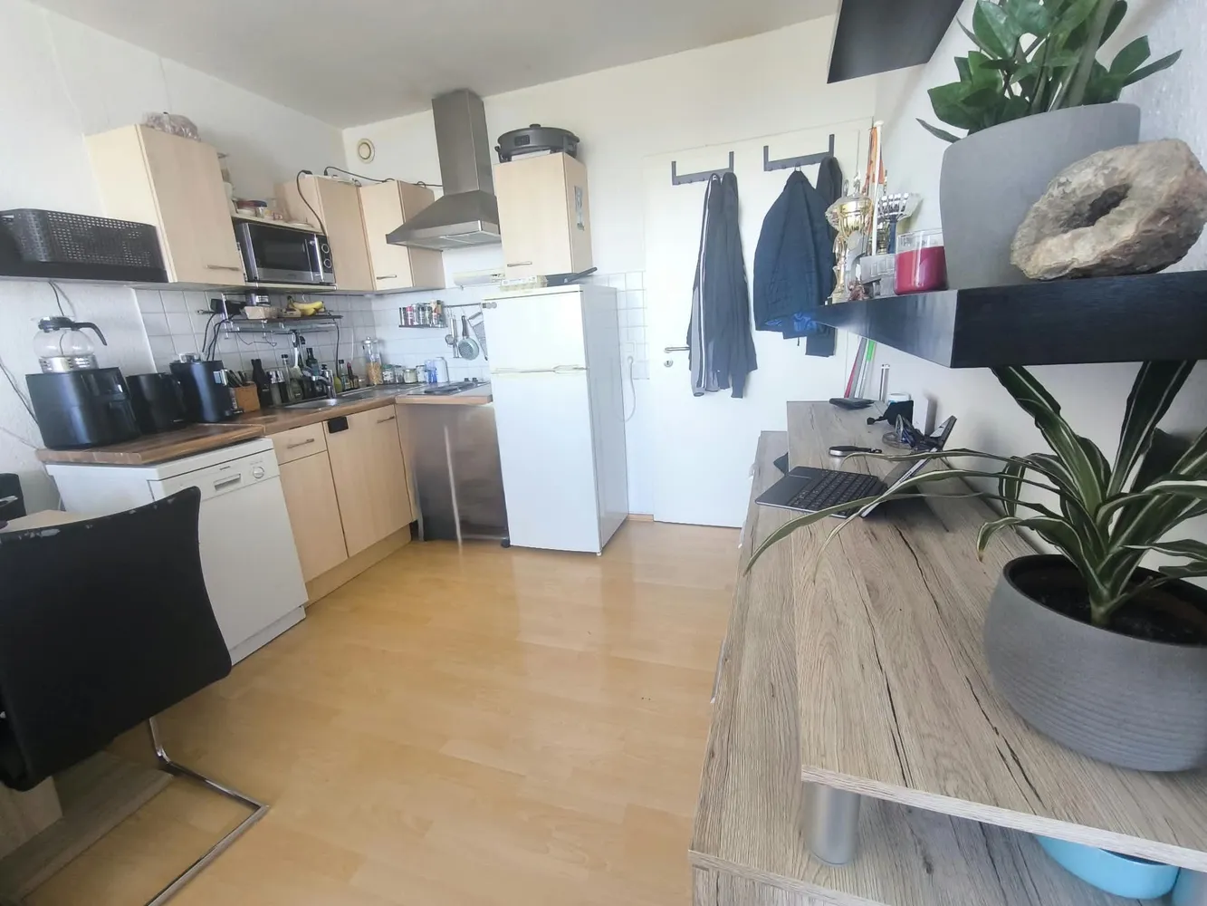 1 Zimmer Wohnung mit 27 m² in Köln – Bild 2