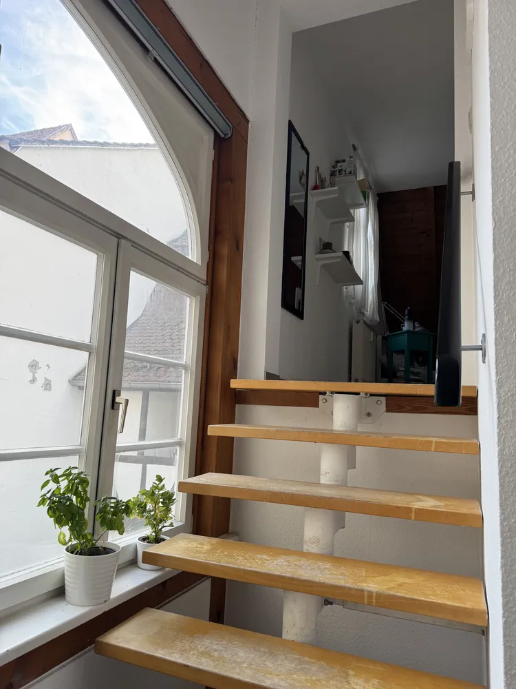 2 Zimmer Wohnung mit 30 m² in Heidelberg – Bild 5