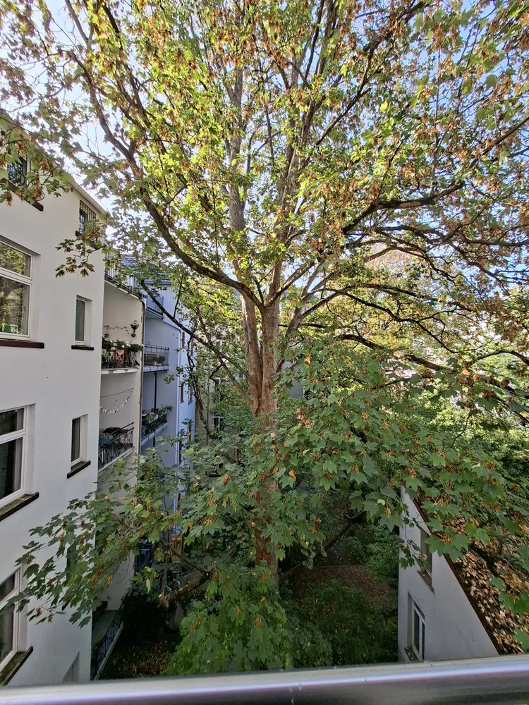 3 room apartment with 103 m² in Frankfurt am Main – Photo 3