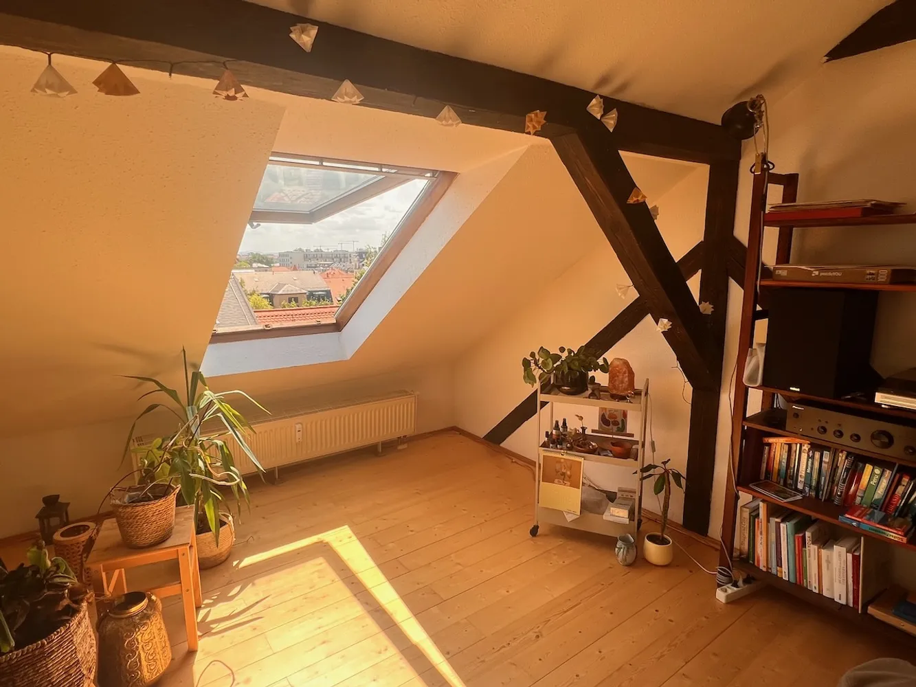 2 Zimmer Wohnung mit 100 m² in Dresden – Bild 1