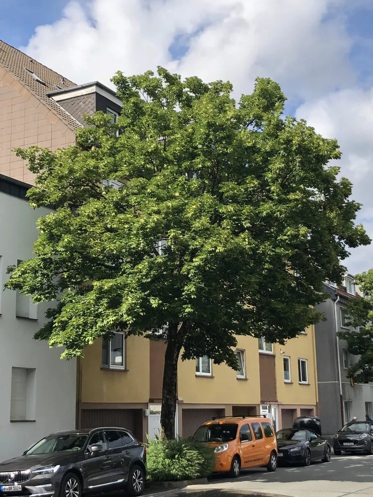 2 Zimmer Wohnung mit 63 m² in Wuppertal – Bild 3