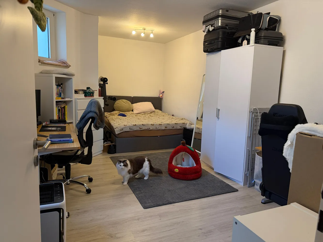 2 Zimmer Wohnung mit 65 m² in Aachen – Bild 6