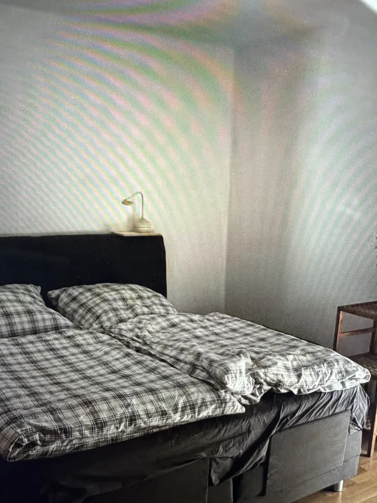 2 Zimmer Wohnung mit 63 m² in Dresden – Bild 8