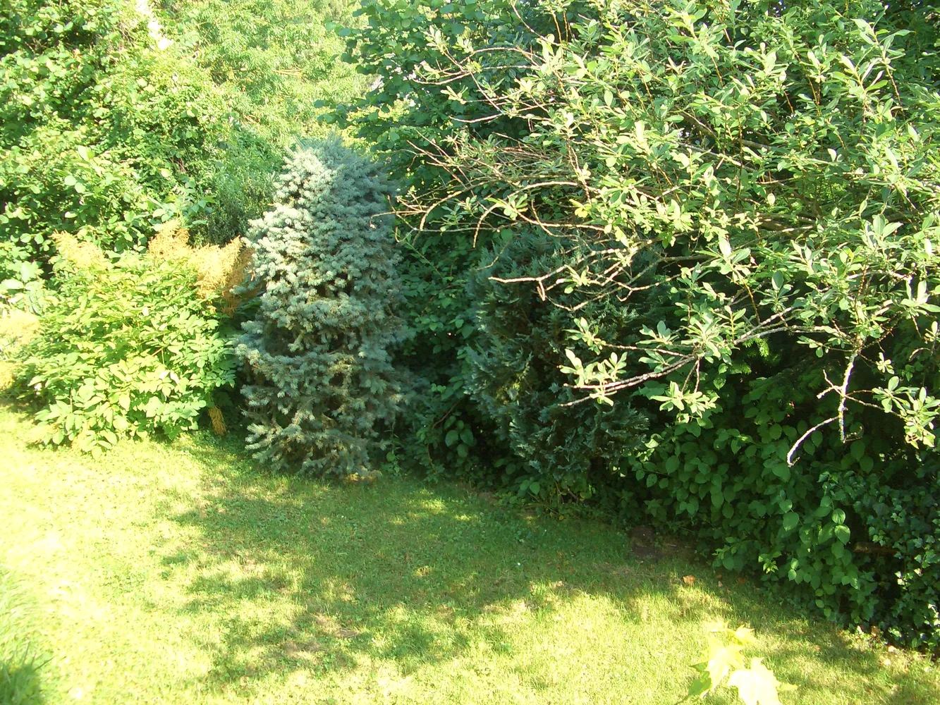 3 Zimmer Haus mit 70 m² in Weimar – Bild 9
