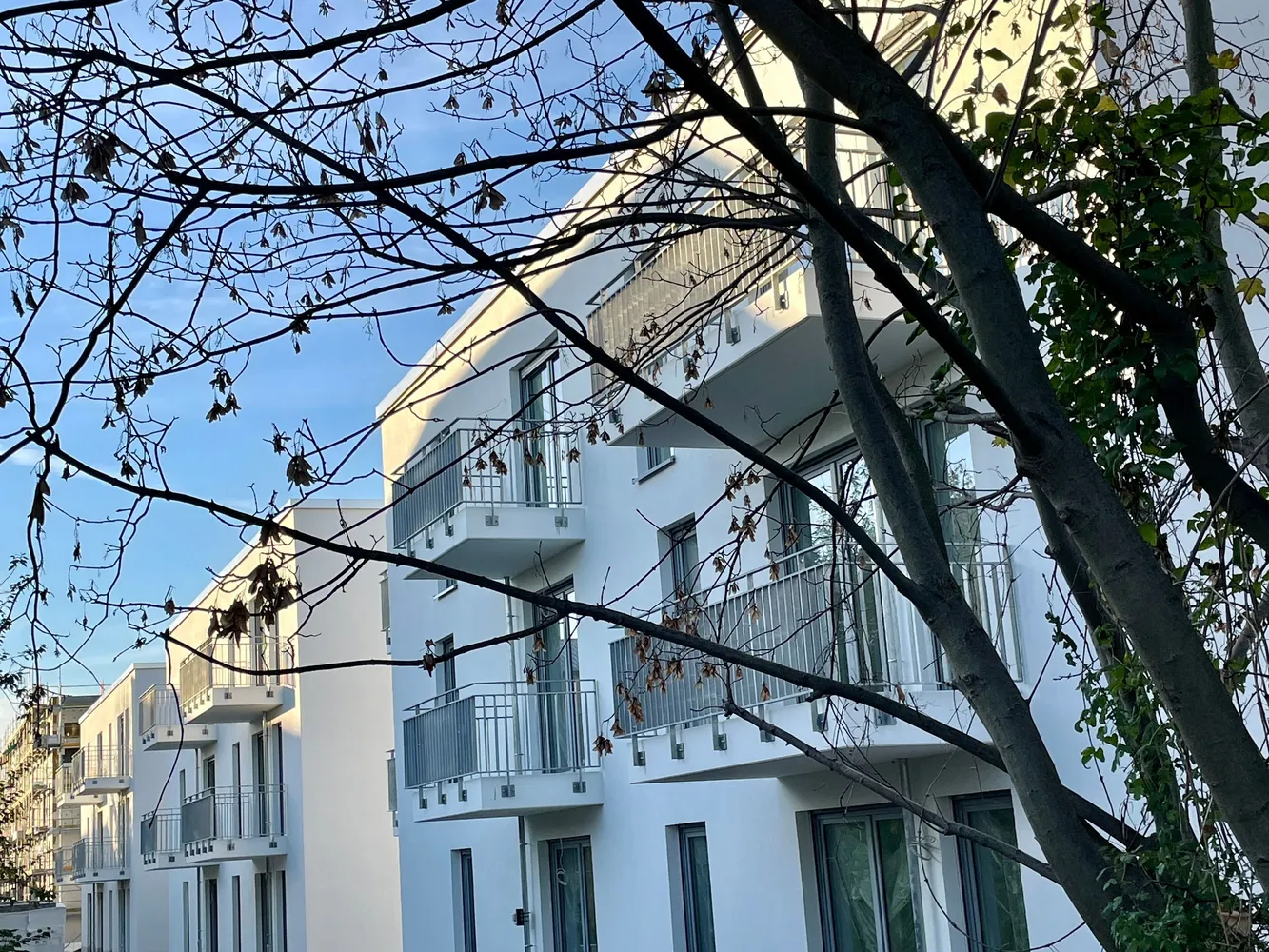 3 Zimmer Wohnung mit 82 m² in Leipzig – Bild 4