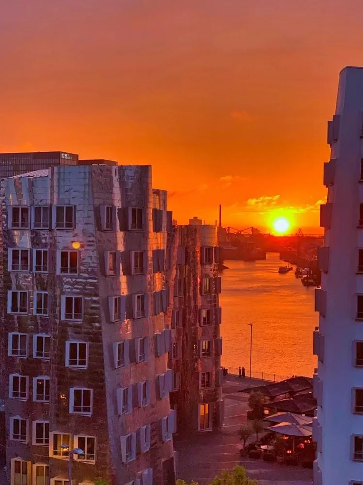 6 Zimmer Wohnung mit 246 m² in Düsseldorf – Bild 3