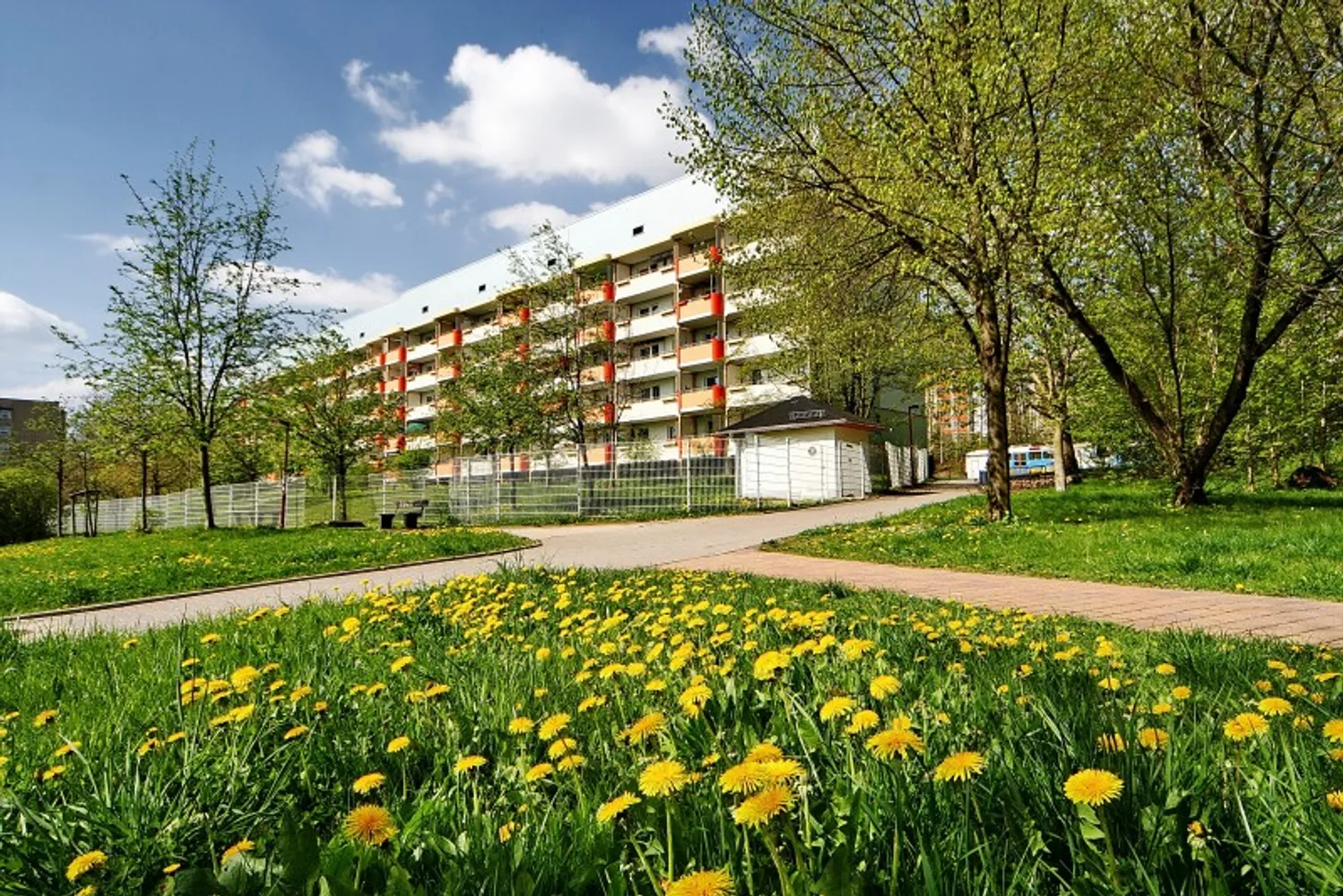 3 room apartment with 57 m² in Chemnitz – Photo 4