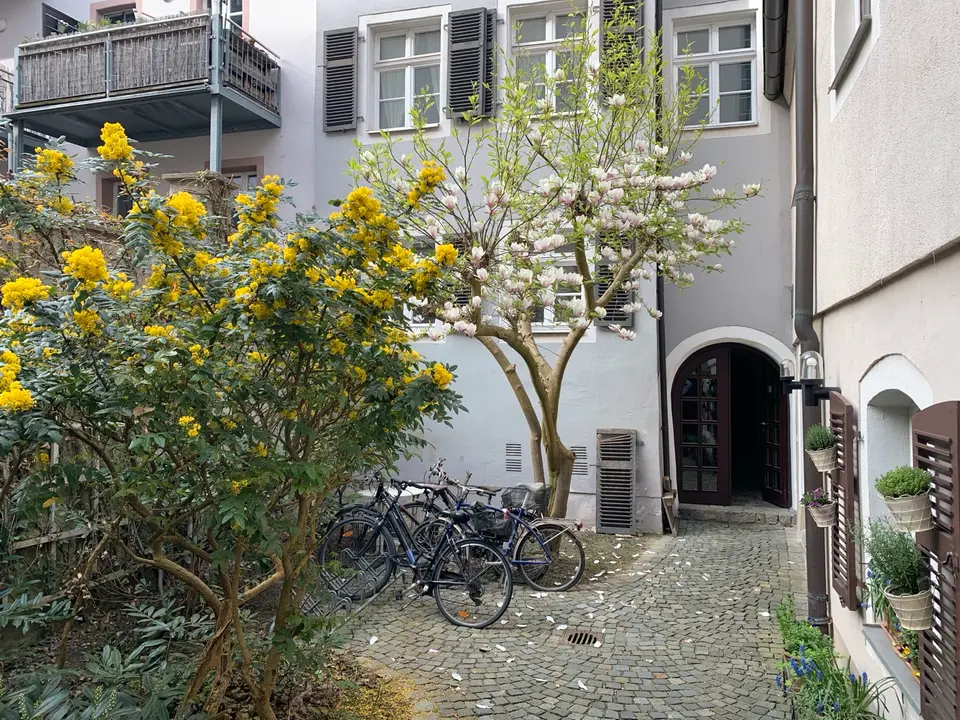 2 Zimmer Wohnung mit 30 m² in Regensburg – Bild 7