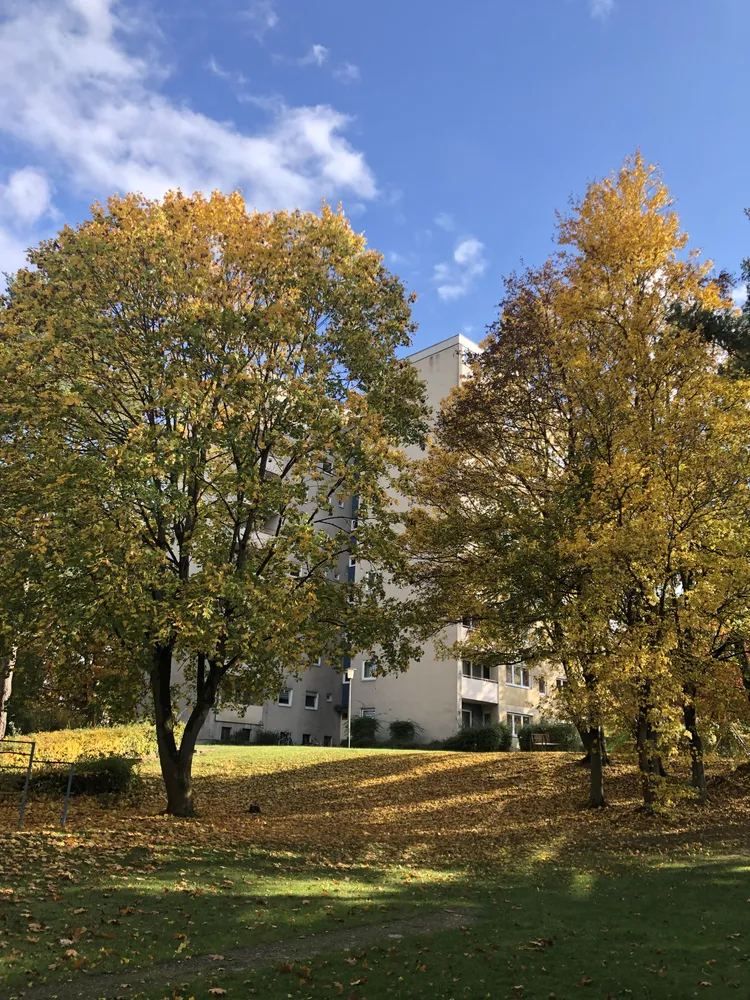 4 Zimmer Wohnung mit 78 m² in Fulda – Bild 4