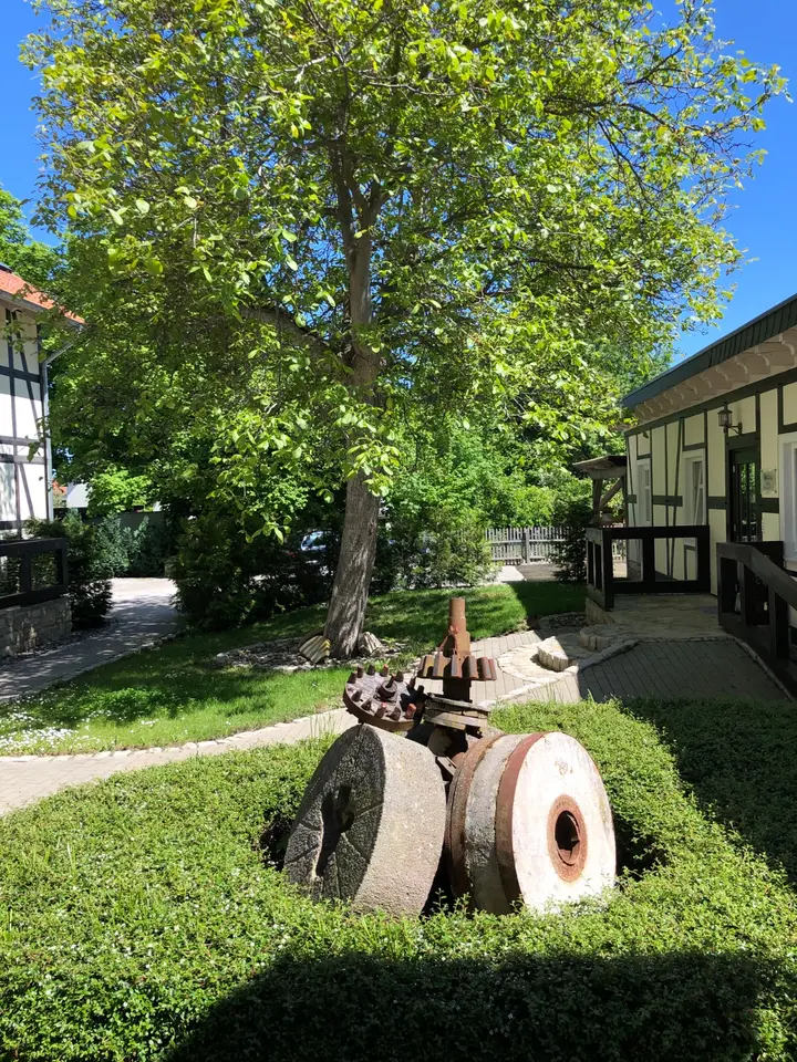 1 Zimmer Wohnung mit 51 m² in Halberstadt – Bild 5