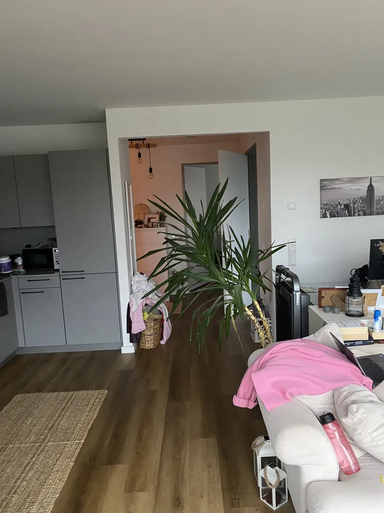 2 room apartment with 62 m² in Münster – Photo 7