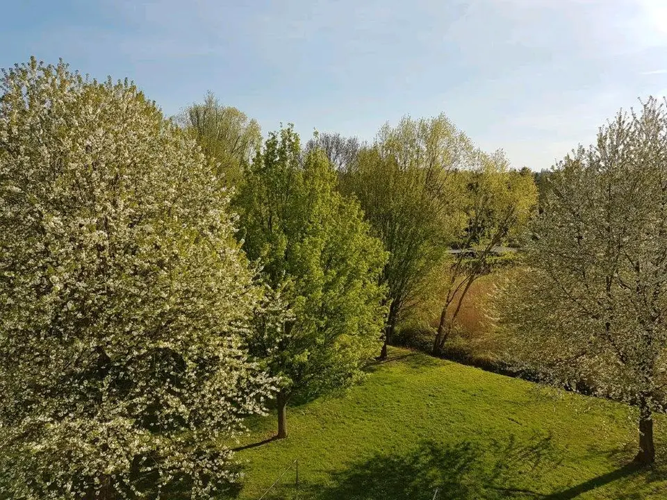4 Zimmer Wohnung mit 76 m² in Dresden – Bild 3