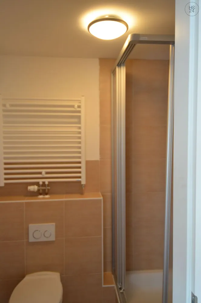 1 room apartment with 27 m² in Lörrach – Photo 8