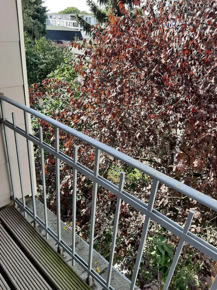 2 Zimmer Wohnung mit 55 m² in Krefeld – Bild 6