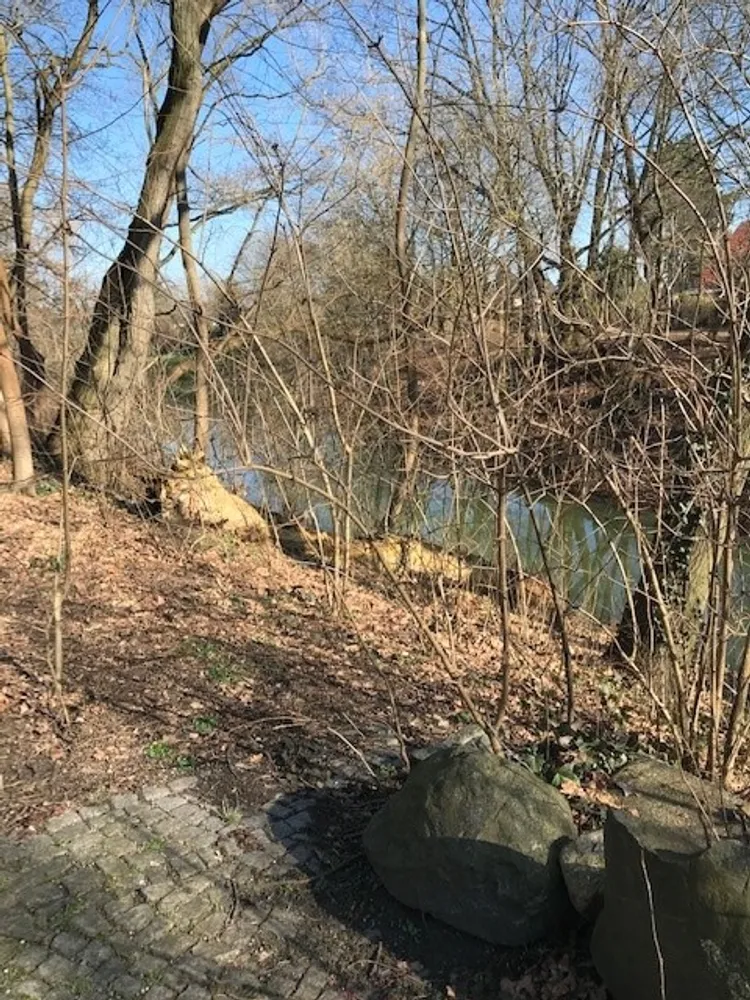 2 Zimmer Wohnung mit 68 m² in Berlin – Bild 5