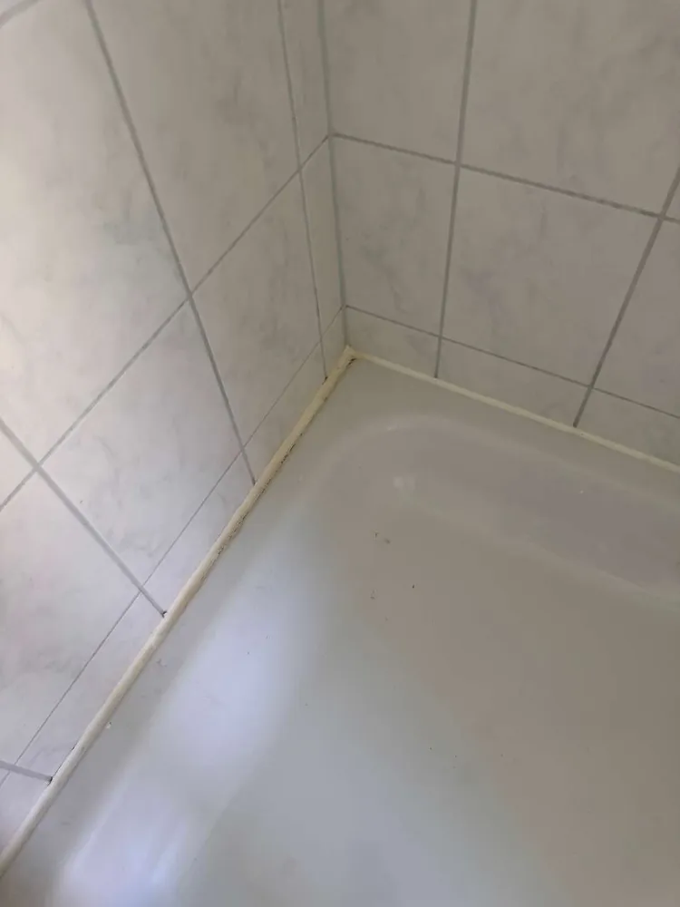 2 room apartment with 45 m² in Magdeburg – Photo 9