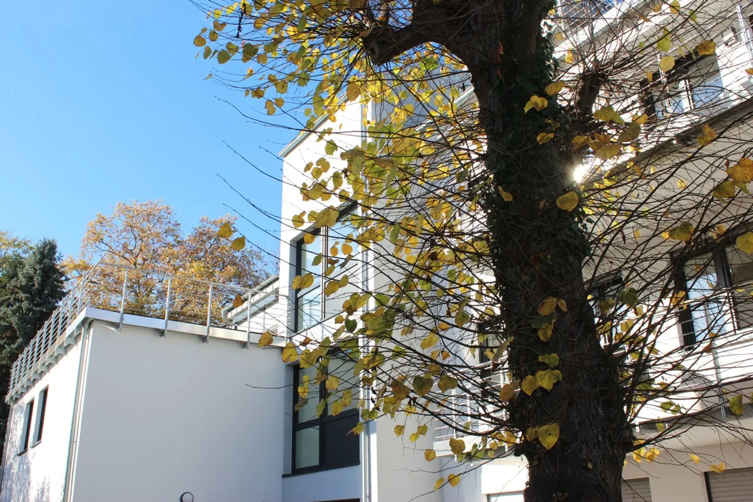 3 room apartment with 95 m² in Bonn – Photo 1