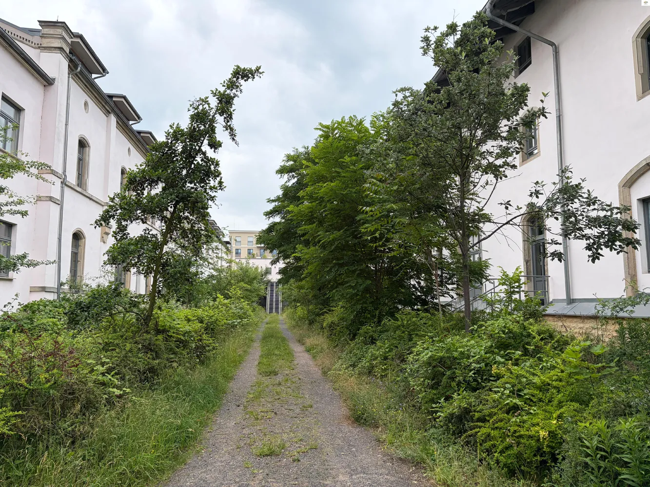 1 Zimmer Wohnung mit 30 m² in Dresden – Bild 6