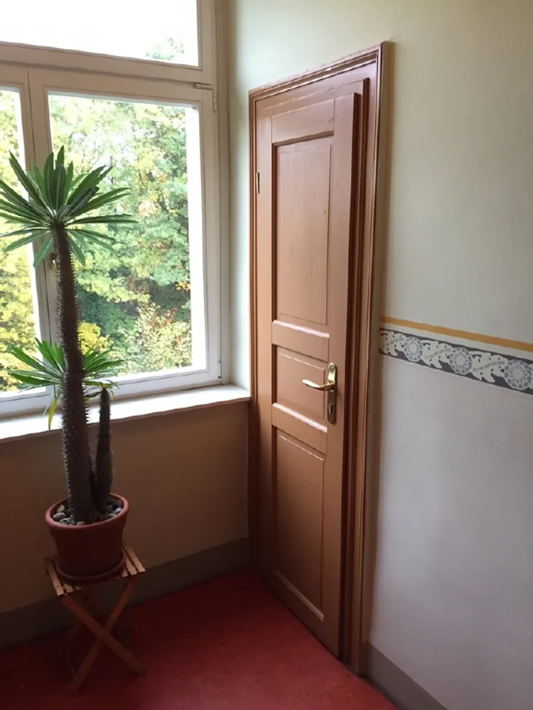 2 room apartment with 52 m² in Dresden – Photo 8