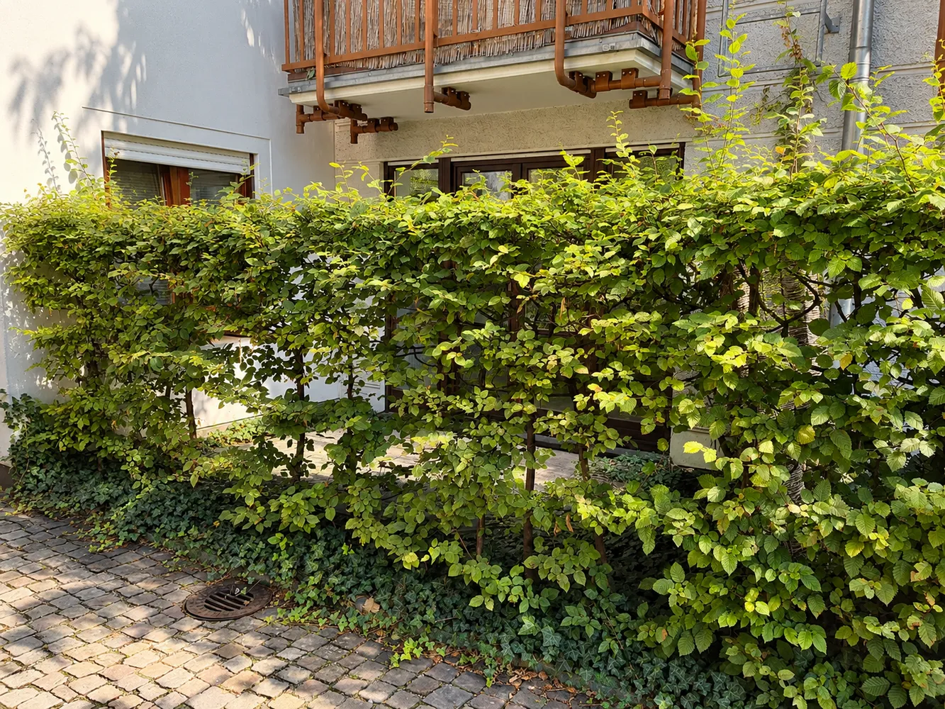 1 Zimmer Wohnung mit 50 m² in Augsburg – Bild 10