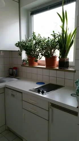1 Zimmer Wohnung mit 33 m² in Frankfurt am Main – Bild 3