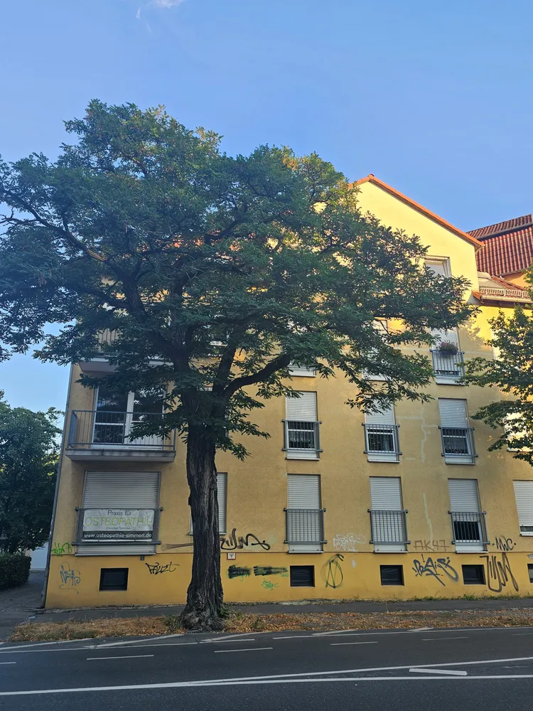 2 Zimmer Wohnung mit 64 m² in Leipzig – Bild 5