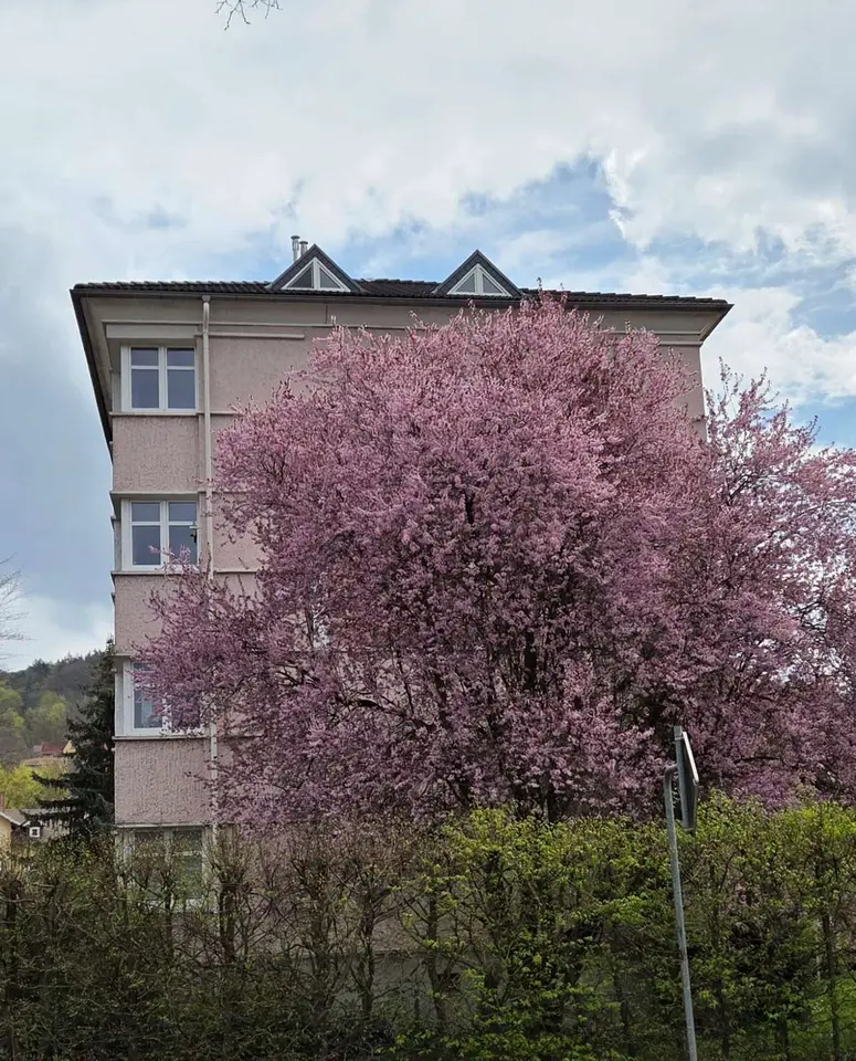 4 Zimmer Wohnung mit 121 m² in Meiningen – Bild 3