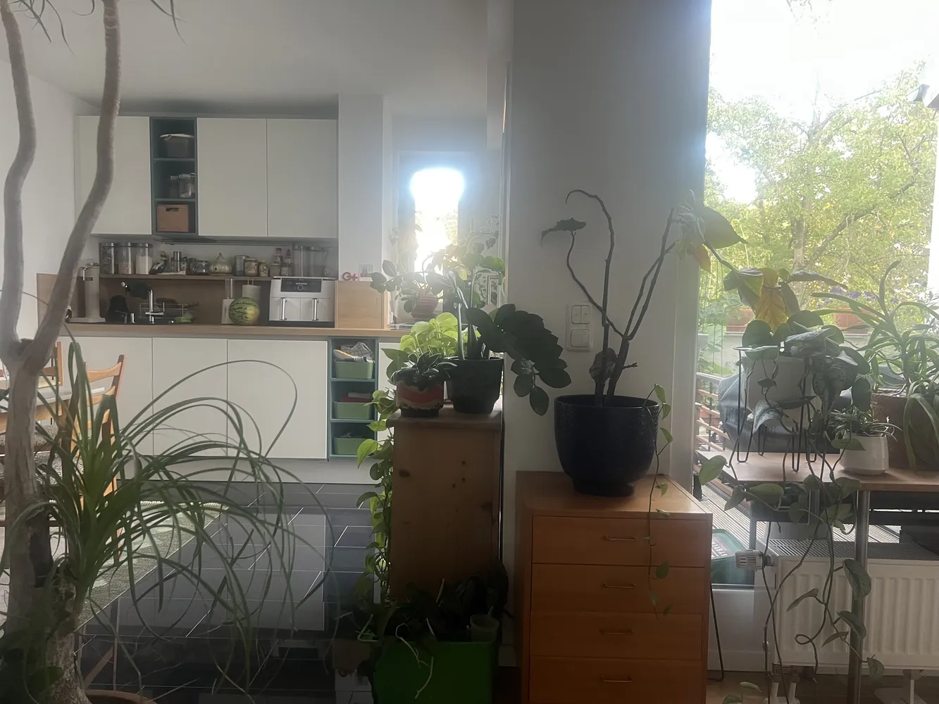 2 Zimmer Wohnung mit 46 m² in Heidelberg – Bild 3