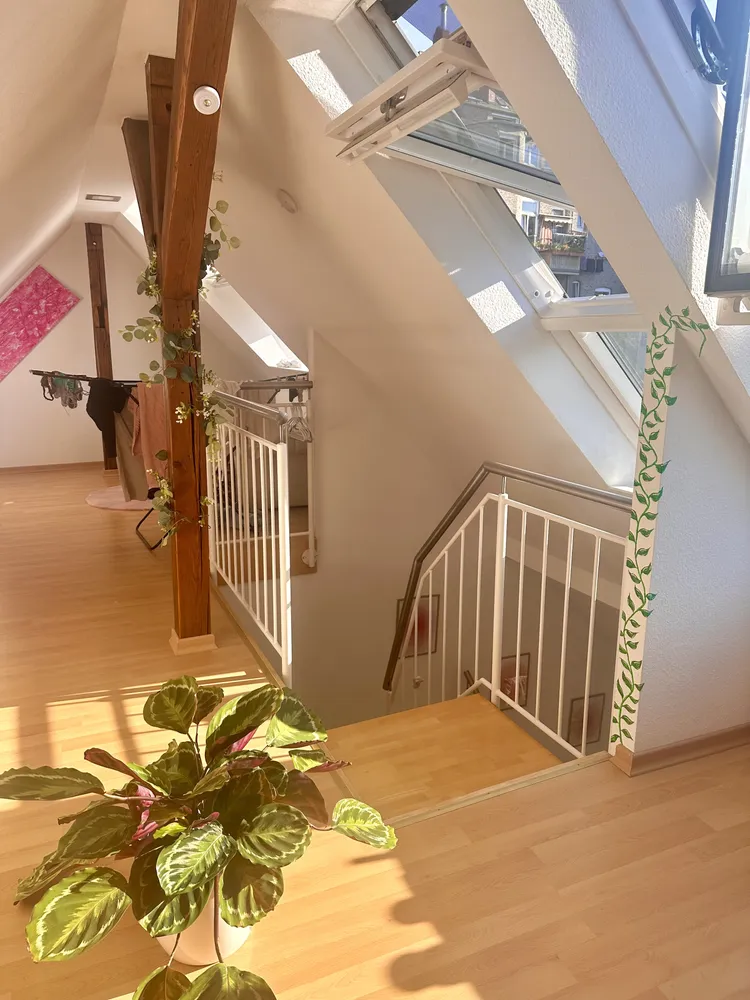 3 room apartment with 45 m² in Wiesbaden – Photo 8