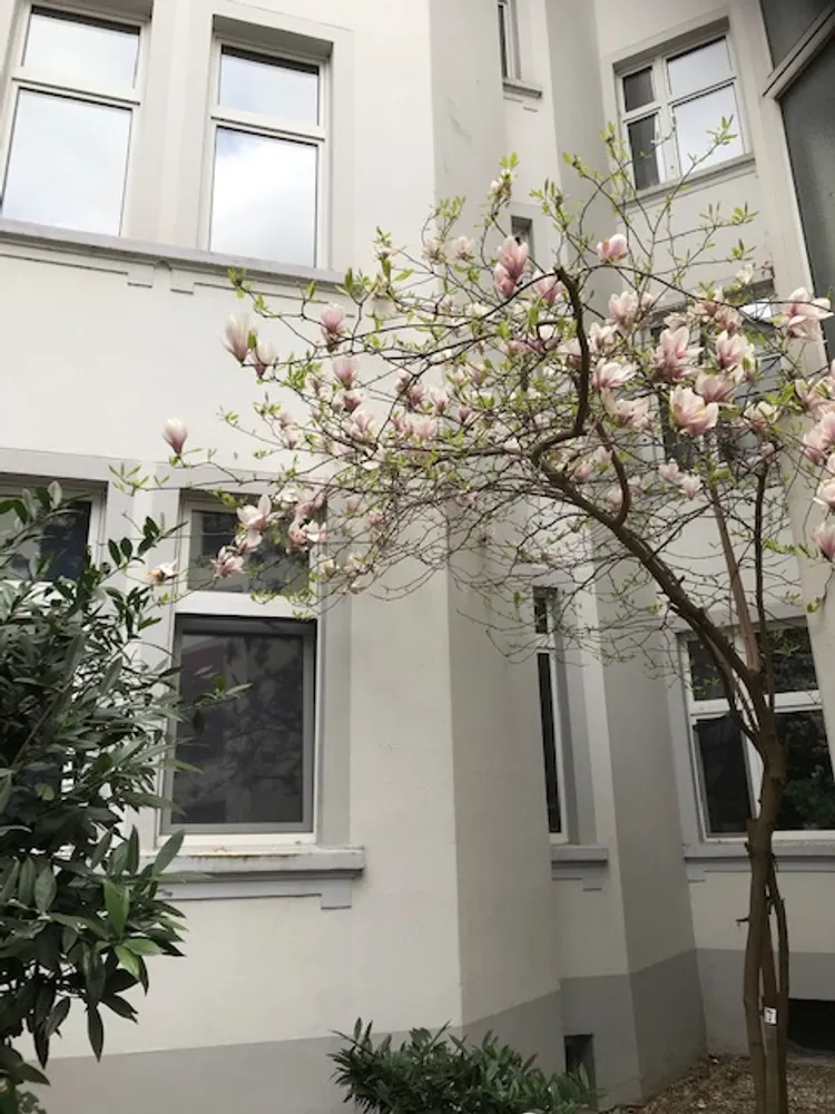 3 Zimmer Wohnung mit 89 m² in Magdeburg – Bild 1