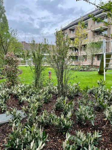 3 Zimmer Wohnung mit 73 m² in Düsseldorf – Bild 10