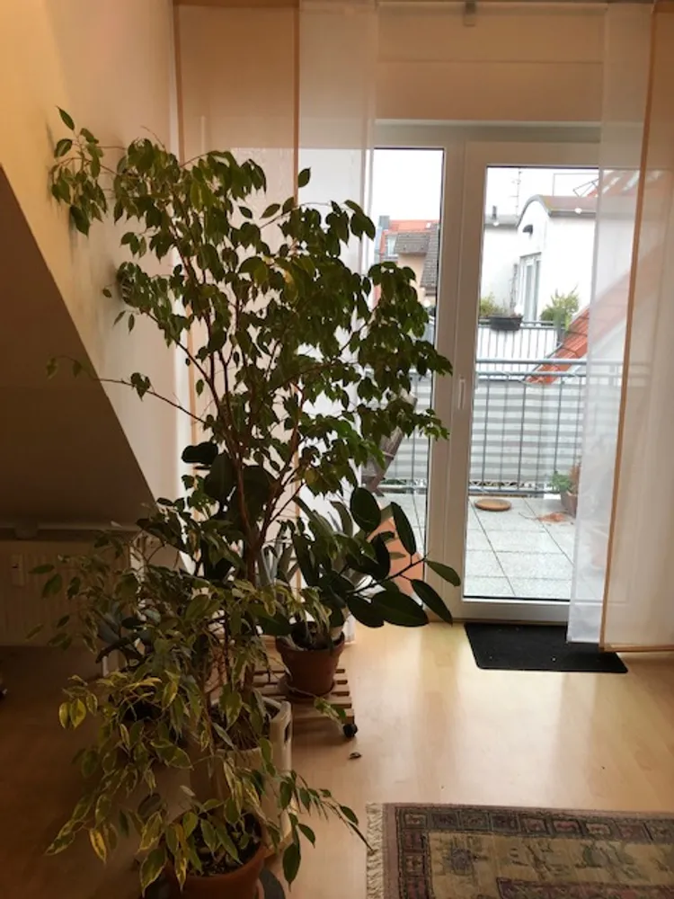 3 room apartment with 75 m² in Frankfurt am Main – Photo 3