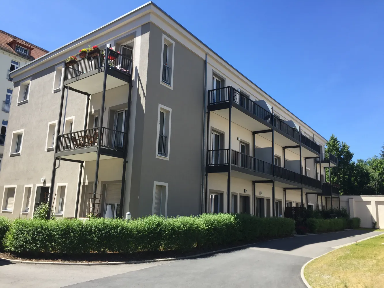 2 Zimmer Wohnung mit 50 m² in Dresden – Bild 1