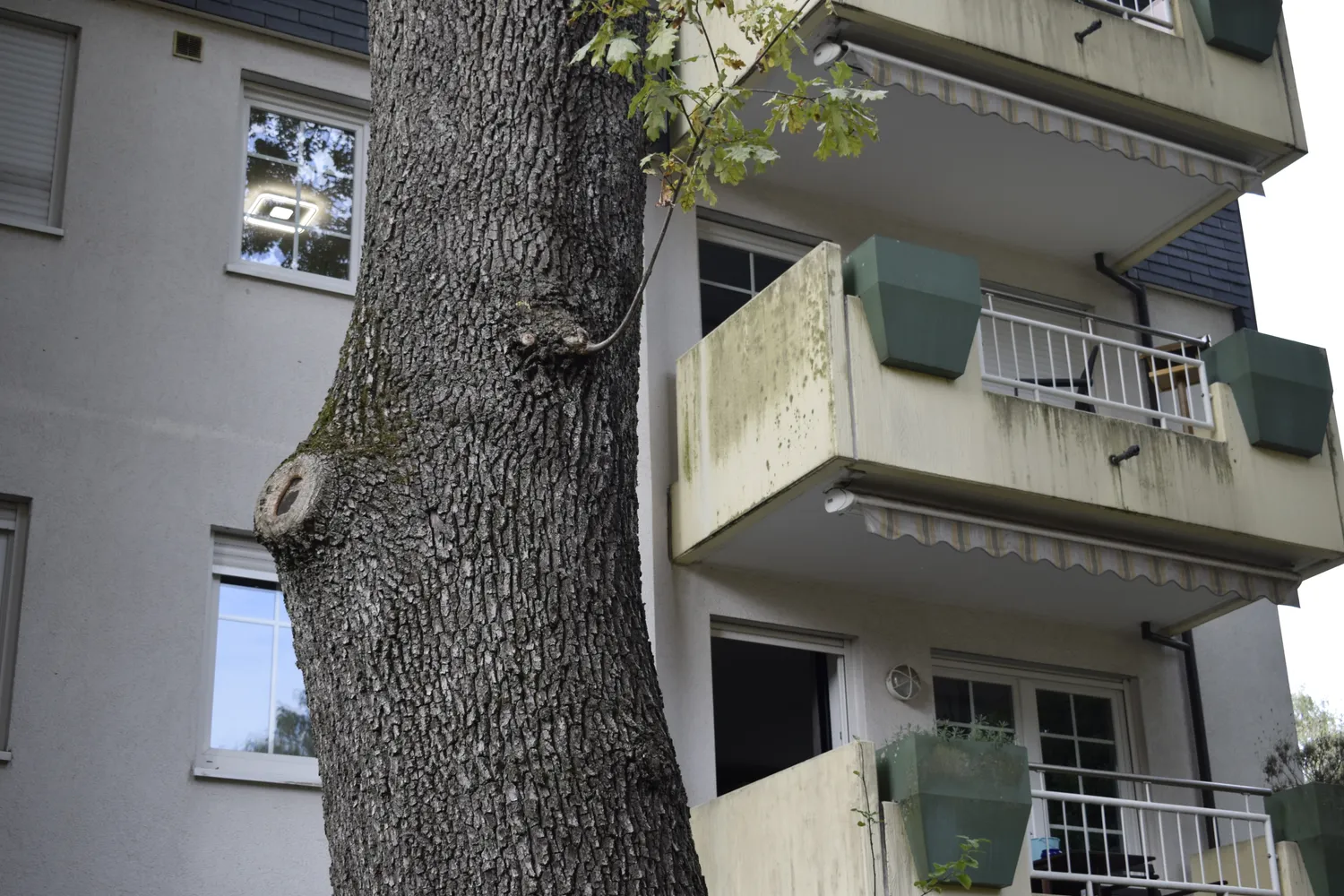3 Zimmer Wohnung mit 78 m² in Solingen – Bild 7