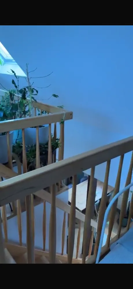 2 room apartment with 65 m² in Erfurt – Photo 10