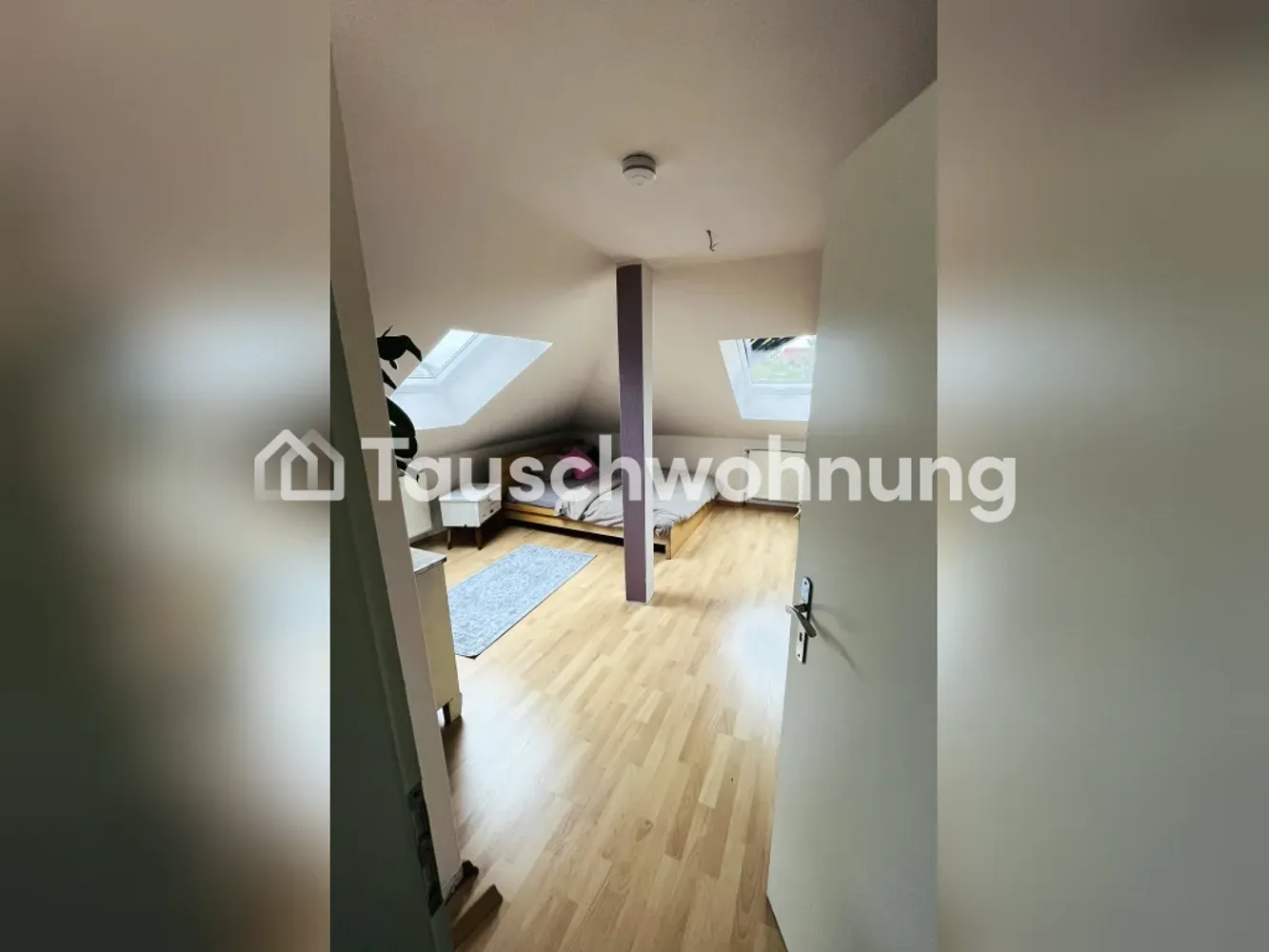 2 Zimmer Wohnung mit 50 m² in Dresden – Bild 3