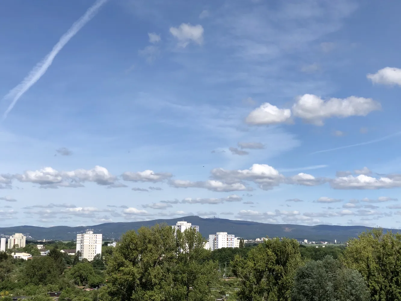 4 room apartment with 195 m² in Frankfurt am Main – Photo 2