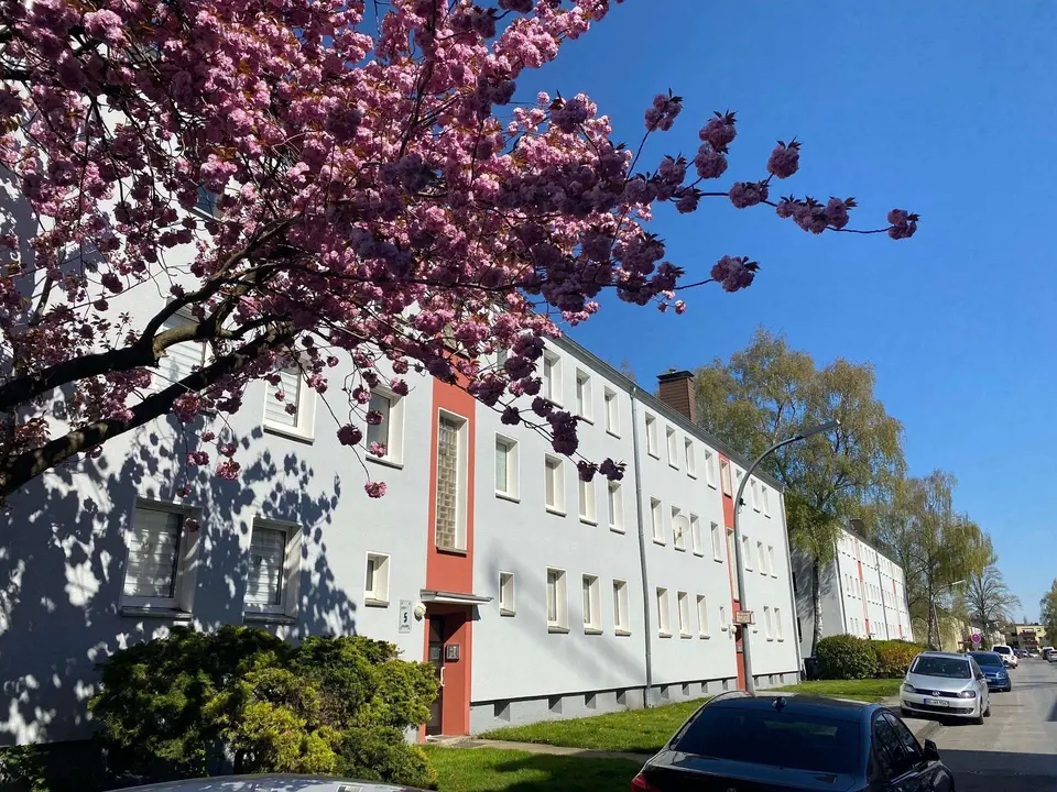 2 Zimmer Wohnung mit 44 m² in Dortmund – Bild 3
