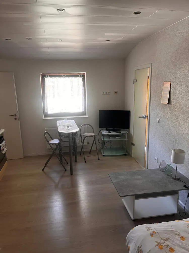 1 room apartment with 30 m² in Pirmasens – Photo 8