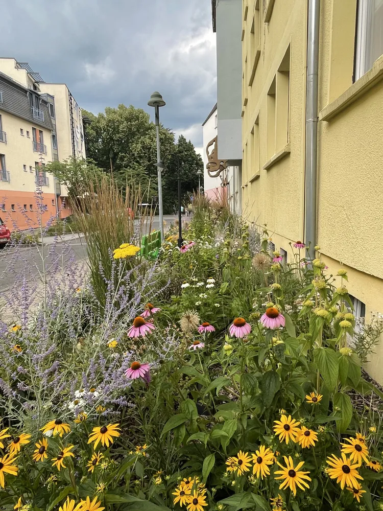 3 Zimmer Wohnung mit 58 m² in Zittau – Bild 7